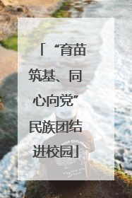 “育苗筑基、同心向党”民族团结进校园