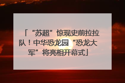 “苏超”惊现史前拉拉队！中华恐龙园“恐龙大军”将亮相开幕式