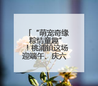 “萌宠奇缘 粽情童趣”！桃浦镇这场迎端午、庆六一主题活动“萌”翻全场～