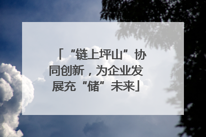 “链上坪山”协同创新，为企业发展充“储”未来