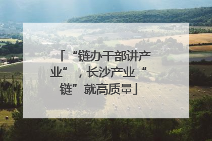 “链办干部讲产业”，长沙产业“链”就高质量