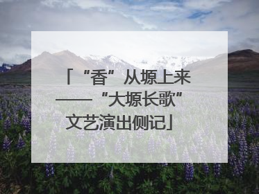“香”从塬上来——“大塬长歌”文艺演出侧记