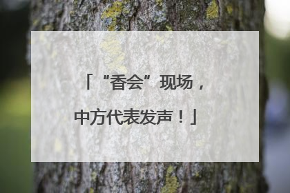 “香会”现场，中方代表发声！
