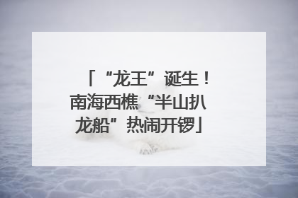 “龙王”诞生！南海西樵“半山扒龙船”热闹开锣