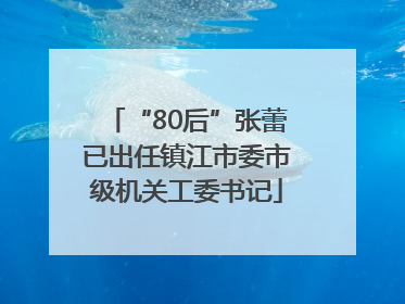 “80后”张蕾已出任镇江市委市级机关工委书记