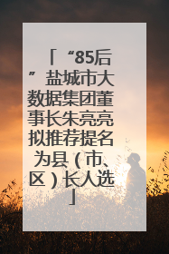“85后”盐城市大数据集团董事长朱亮亮拟推荐提名为县（市、区）长人选