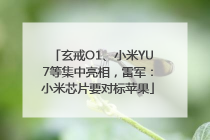 玄戒O1、小米YU7等集中亮相，雷军：小米芯片要对标苹果