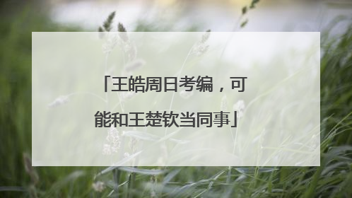 王皓周日考编，可能和王楚钦当同事