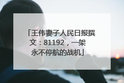 王伟妻子人民日报撰文：81192，一架永不停航的战机