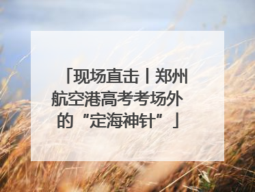 现场直击丨郑州航空港高考考场外的“定海神针”