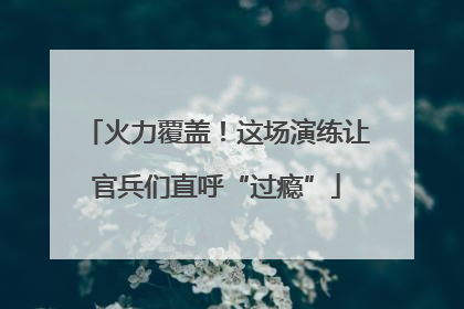 火力覆盖！这场演练让官兵们直呼“过瘾”