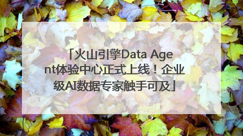 火山引擎Data Agent体验中心正式上线！企业级AI数据专家触手可及