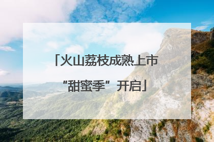 火山荔枝成熟上市 “甜蜜季”开启
