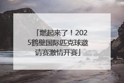 燃起来了！2025鹤壁国际匹克球邀请赛激情开赛