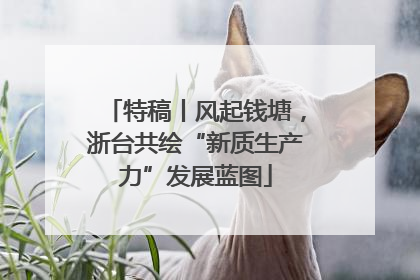 特稿丨风起钱塘，浙台共绘“新质生产力”发展蓝图