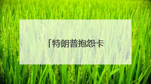 特朗普抱怨卡塔尔赠送的飞机“太大”，不适合做总统专机