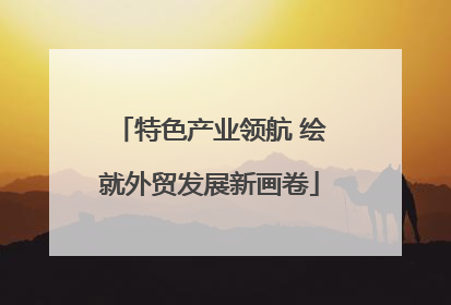 特色产业领航 绘就外贸发展新画卷