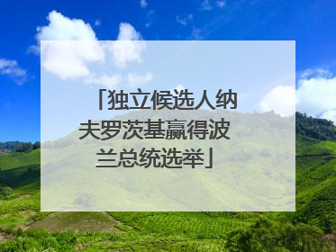 独立候选人纳夫罗茨基赢得波兰总统选举