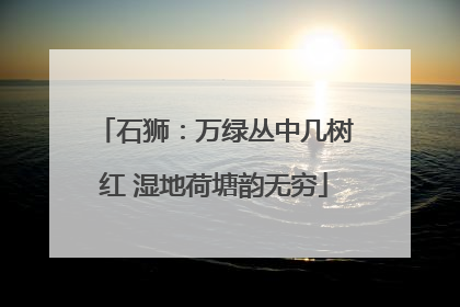石狮：万绿丛中几树红 湿地荷塘韵无穷
