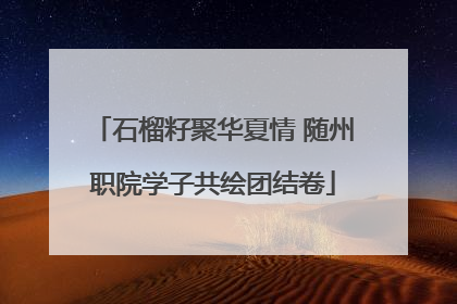 石榴籽聚华夏情 随州职院学子共绘团结卷