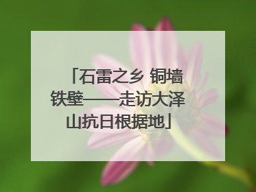 石雷之乡 铜墙铁壁——走访大泽山抗日根据地