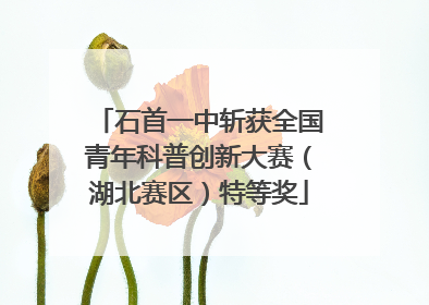 石首一中斩获全国青年科普创新大赛（湖北赛区）特等奖