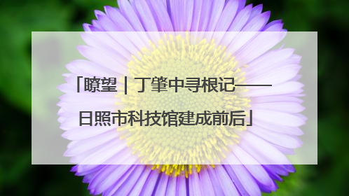 瞭望｜丁肇中寻根记——日照市科技馆建成前后