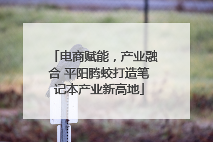 电商赋能，产业融合 平阳腾蛟打造笔记本产业新高地