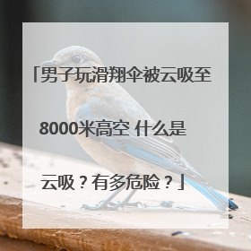 男子玩滑翔伞被云吸至8000米高空 什么是云吸？有多危险？