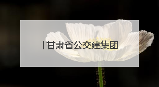 甘肃省公交建集团召开庆阳地区项目建设运营座谈会
