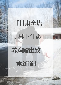 甘肃金塔：林下生态养鸡踏出致富新道