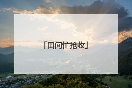 田间忙抢收