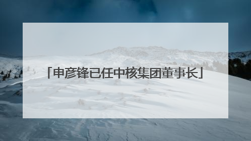 申彦锋已任中核集团董事长