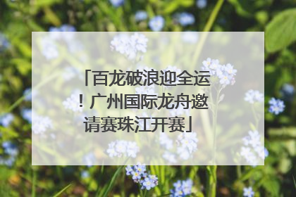 百龙破浪迎全运！广州国际龙舟邀请赛珠江开赛