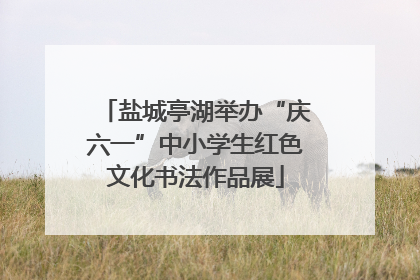 盐城亭湖举办“庆六一”中小学生红色文化书法作品展