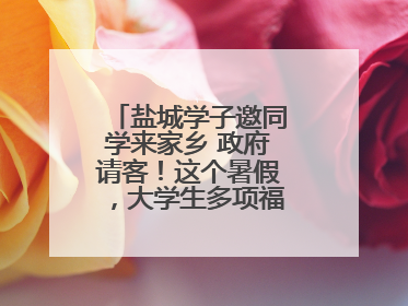 盐城学子邀同学来家乡 政府请客！这个暑假，大学生多项福利免费游盐城