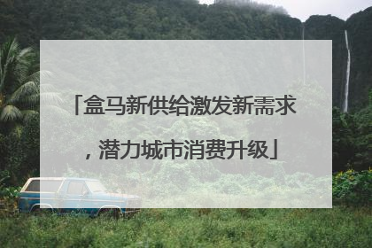 盒马新供给激发新需求，潜力城市消费升级