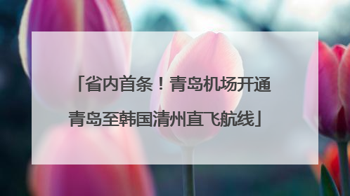 省内首条！青岛机场开通青岛至韩国清州直飞航线