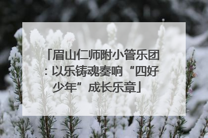 眉山仁师附小管乐团：以乐铸魂奏响“四好少年”成长乐章