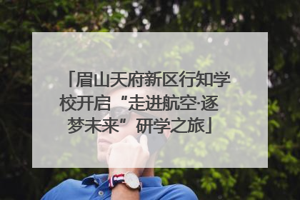 眉山天府新区行知学校开启“走进航空·逐梦未来”研学之旅