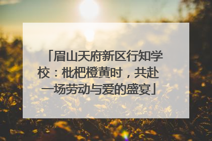 眉山天府新区行知学校：枇杷橙黄时，共赴一场劳动与爱的盛宴