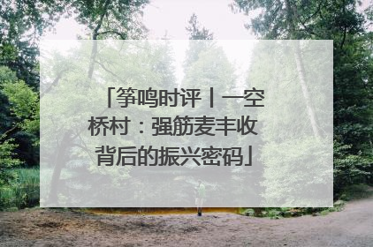 筝鸣时评丨一空桥村：强筋麦丰收背后的振兴密码