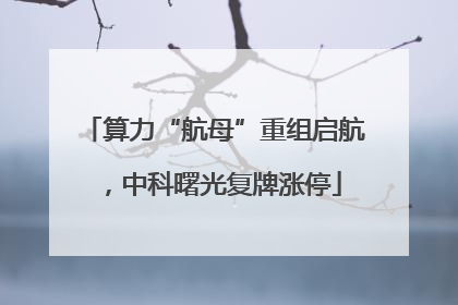 算力“航母”重组启航，中科曙光复牌涨停