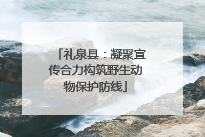 礼泉县：凝聚宣传合力构筑野生动物保护防线