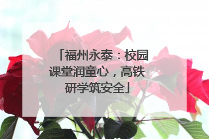 福州永泰：校园课堂润童心，高铁研学筑安全