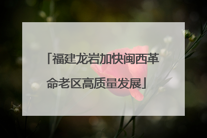 福建龙岩加快闽西革命老区高质量发展