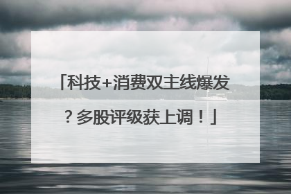 科技+消费双主线爆发？多股评级获上调！