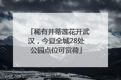 稀有并蒂莲花开武汉，今夏全城28处公园点位可赏荷
