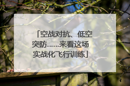 空战对抗、低空突防……来看这场实战化飞行训练