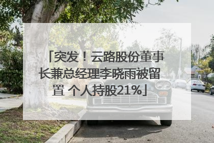 突发！云路股份董事长兼总经理李晓雨被留置 个人持股21%
